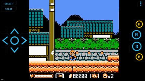 Advanced NES FC Simulator Pro 1.6 安卓版 2