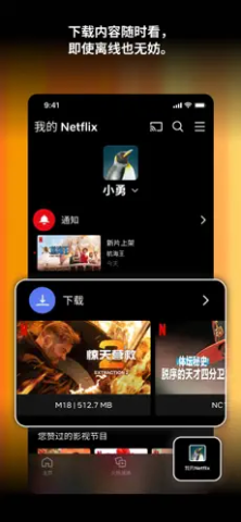 Netflix解锁版 9.31.0 最新版 1