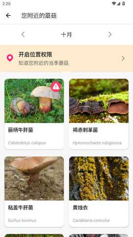 蘑菇识别 2.9.23 最新版 3