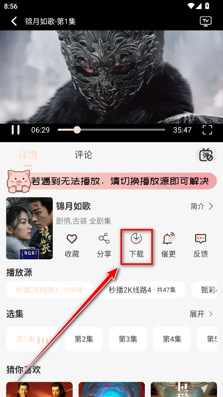 小猪4k无广告版