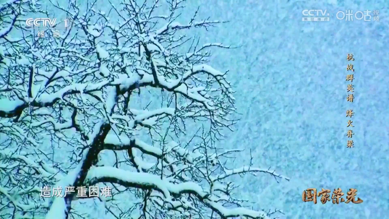 晶奥直播tv版最新版