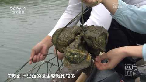 看看屋MaxTV直播电视版app免费下载-看看屋TV软件纯净版追剧安卓下载