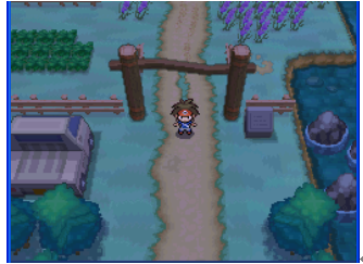 1756966722707974.jpg 20195710427431530.jpg