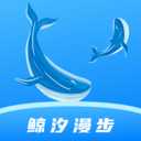 鲸汐漫步