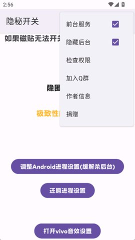 隐秘开关 1.3 安卓版 1