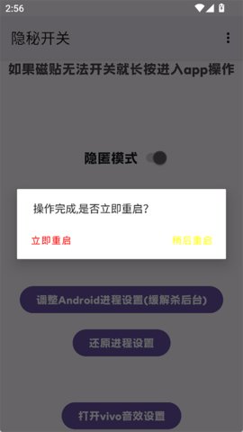 隐秘开关 1.3 安卓版 2