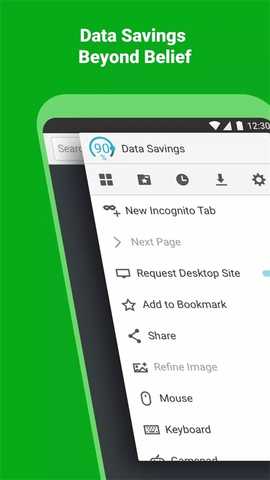 puffin免登陆版 10.5.0.61369 安卓版 1