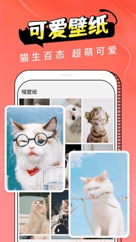 图饰猫 3.1.3 安卓版 3