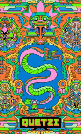 Quetzi问 1.0.0 安卓版 2