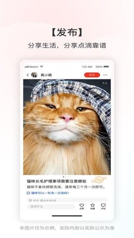 靠谱帮 1.1.4 安卓版 1