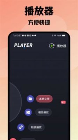 紫电播放器 1.1 最新版 3