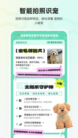 宠拍档 1.0.1 安卓版 1