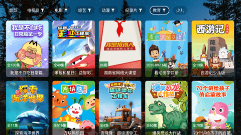 陆游影视4k电视版 2.7.3 安卓版 2