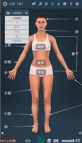 Humanbody 1.0 官方版 3