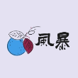 风暴影音