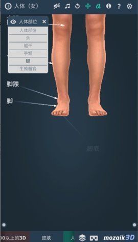 Humanbody 1.0 官方版 1