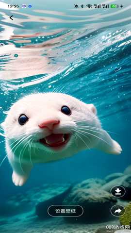 色虎相机 1.0.5 安卓版 4