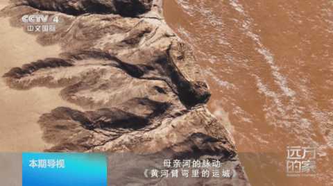 龙凤直播盒子版 5.2.0 安卓版 1