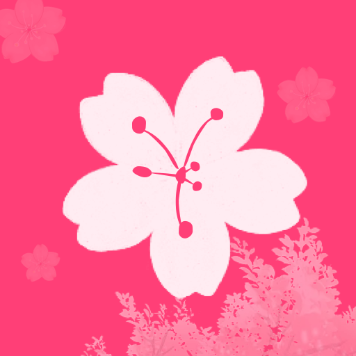 樱花视频播放器
