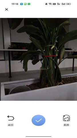 美颜复古照相机 1.0.0 安卓版 2