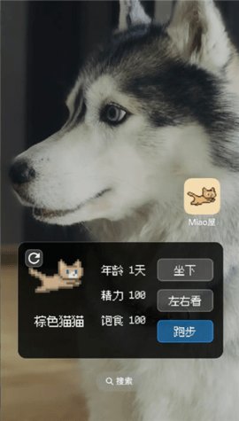Miao屋 1.2.0 最新版 1