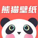 熊猫壁纸图片