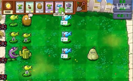 植物大战僵尸资本家版 1.1 最新版 2