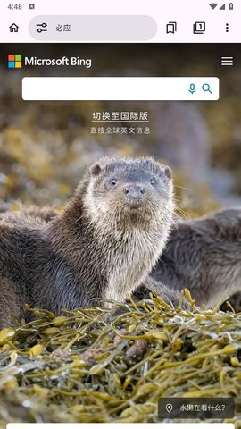 EX浏览器 1.0.1 最新版 2