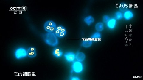 小乐TV 5.2.0 最新版 2