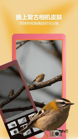 Tapaup 1.1 安卓版 1