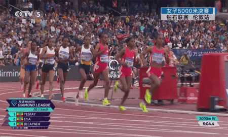 ☆新现代TV版☆ 3.5.5 安卓版 3