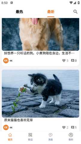 宠物街 1.1.5 安卓版 3
