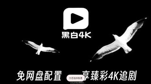 黑白4K 3.0.6 安卓版 1