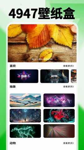4947游戏盒 0.0.8 安卓版 3