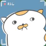 主播和猫的故事