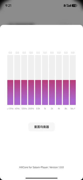 SalamPlayer 1.0.0-git 安卓版 0