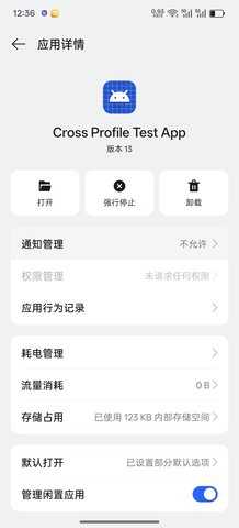Cross Profile Test 13 安卓版 2
