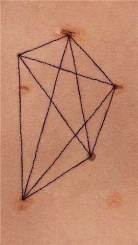 绽放之歌 1.03 安卓版 1