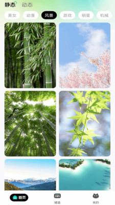 绘壁纸 1.0.0 安卓版 3