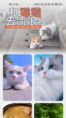 充电招福 2.0.6 安卓版 2