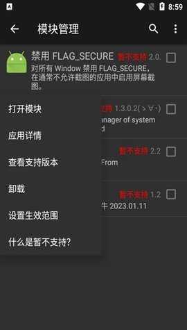 禁用FLAG 2.0.0 安卓版 2