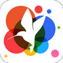 360小鸟壁纸下载安装-360小鸟壁纸2025最新版