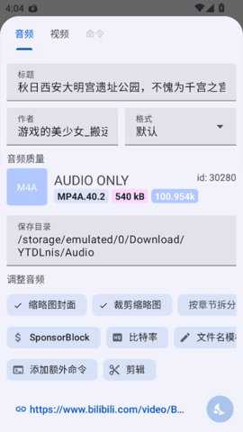 YTDLnis 1.8.6 安卓版 1