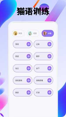 筑梦猫舍宠趣 1.1 安卓版 1
