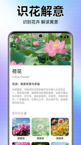 轻漫岛时光 1.1 安卓版 3