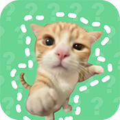 猫meme语音盒