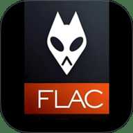 FLAC音乐播放器