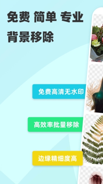 椰子背景 1.3.7 安卓版 3