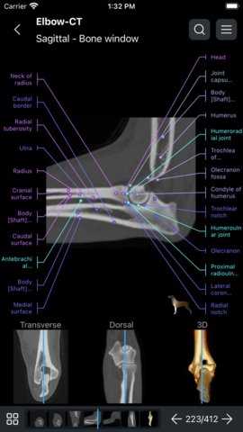 vet anatomy 4.11.0 安卓版 1