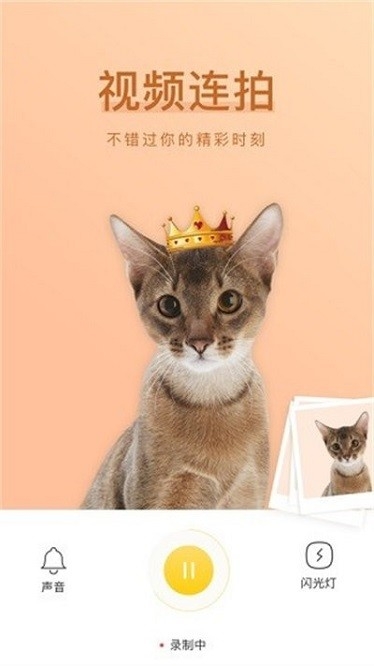 萌仔相机 3.0 安卓版 2